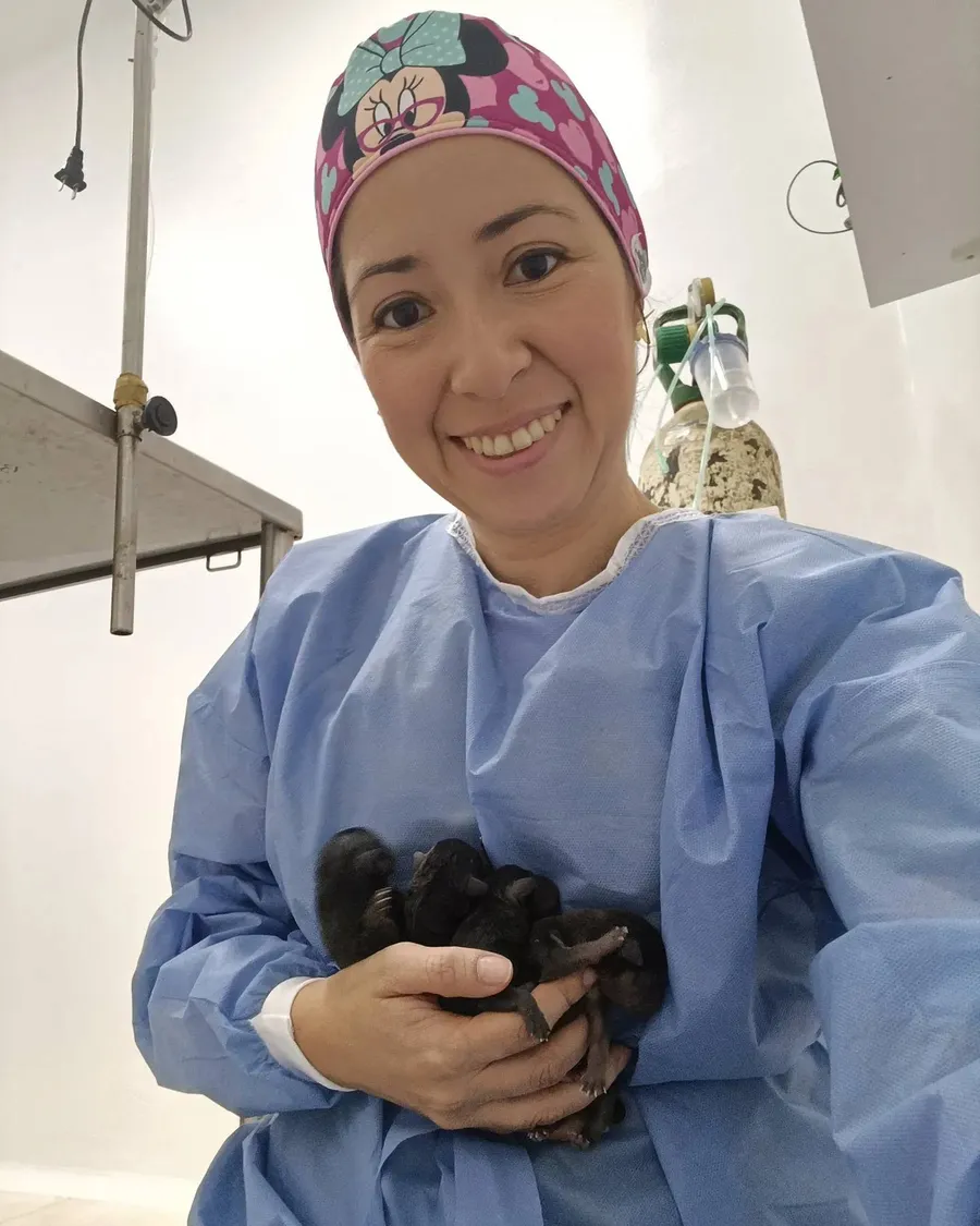 Veterinaria de Anisanar sosteniendo cachorros recién nacidos