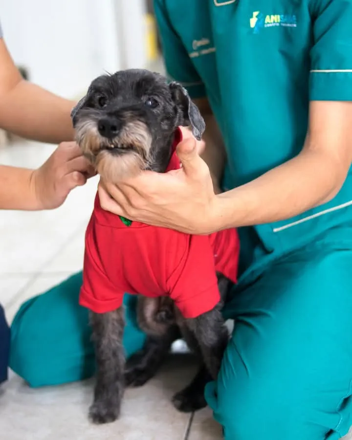 Mascota feliz tras su consulta en Anisanar